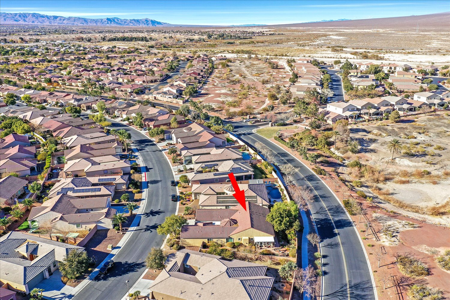 Bird’s-eye view of backyard oasis with mature landscaping